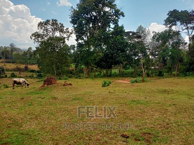 5 Acres Nyeri/Gitero - thumbnail 4