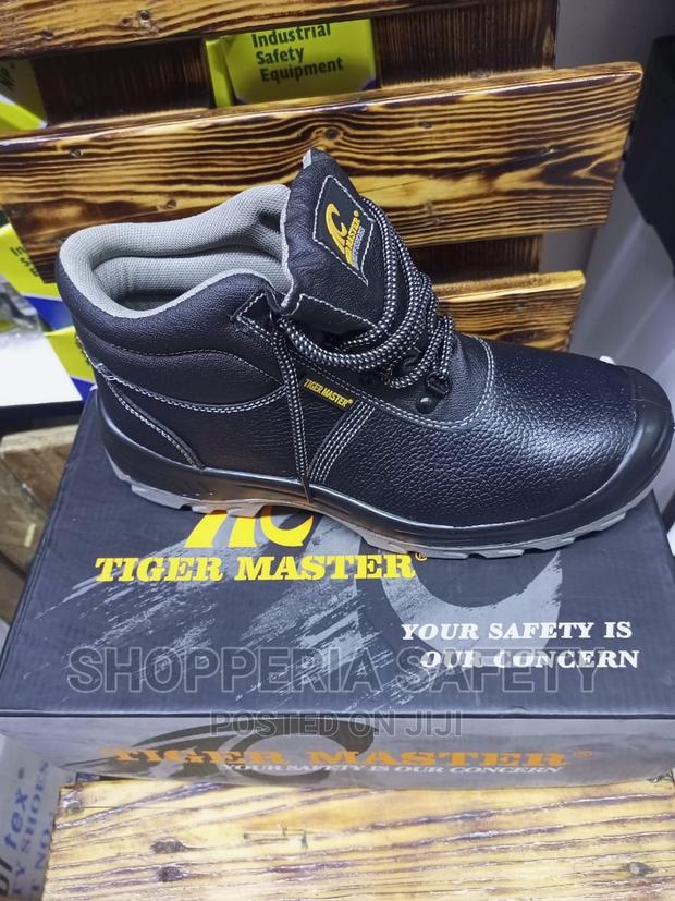 Tiger Master - main view