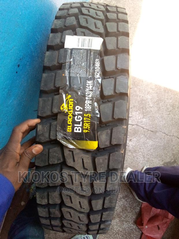 9.5r17.5 Blacklion BLG19