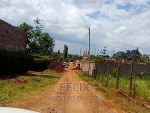 Nyeri/Ngangarithi Quarter Plots,100*100