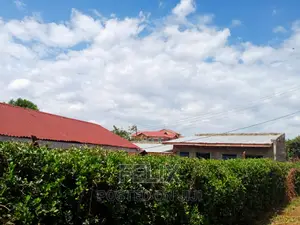 Nyeri/Ngangarithi Quarter Plots,100*100