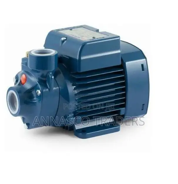 Powerful Pedrollo Water Pump Pkm60-Blue