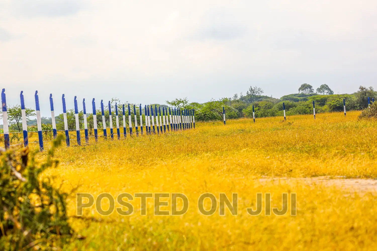 50 by 100 Plots in Koma. ^EM