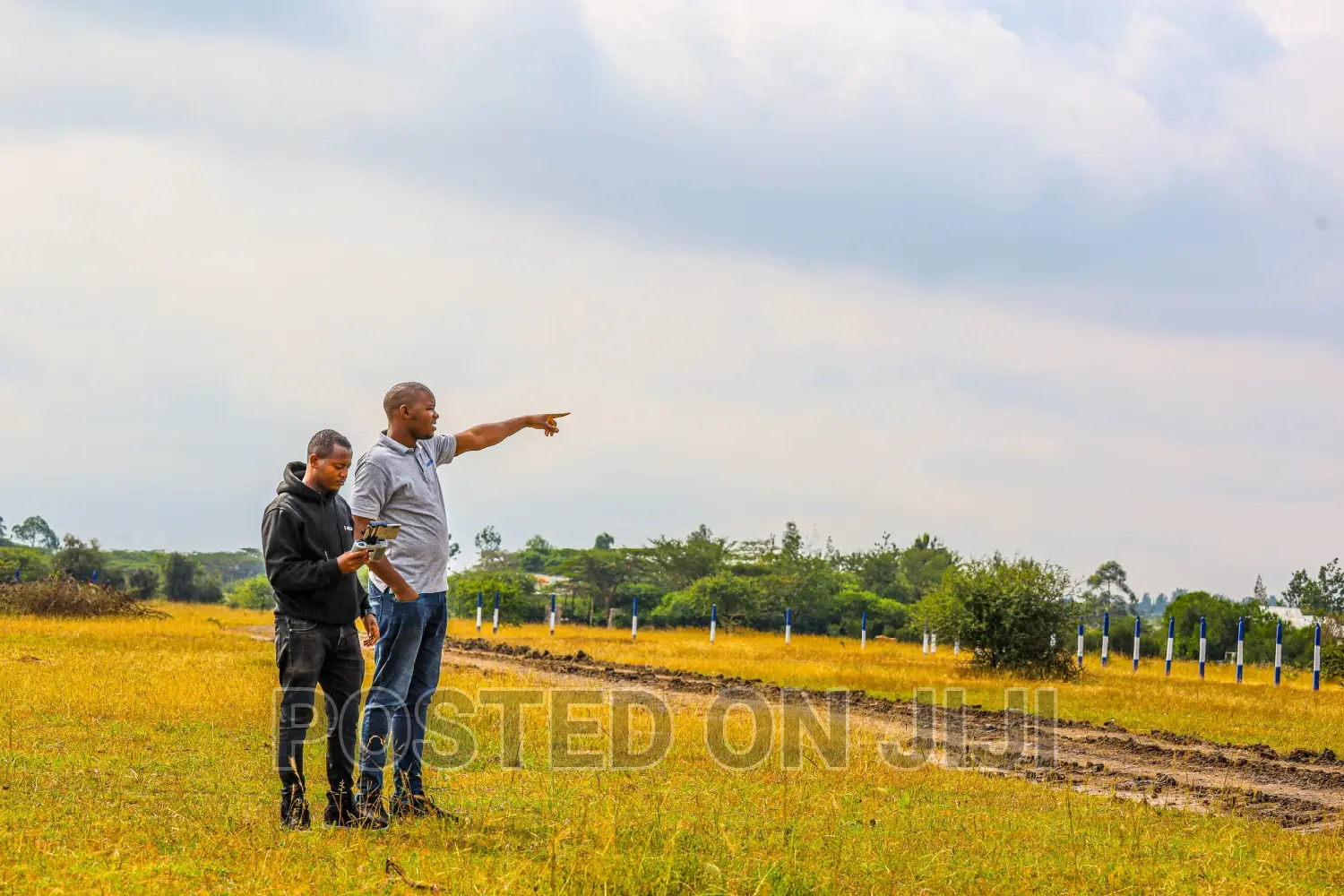 50 by 100 Plots in Koma. ^EM