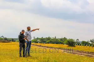 50 by 100 Plots in Koma. ^EM