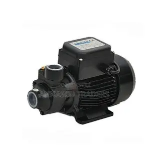 POWERFUL Dayliff High Quality Domestic Water Pump 0.5HP