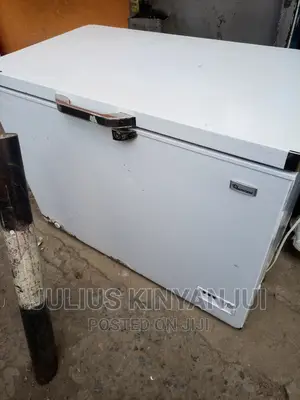 300L Deep Freezer