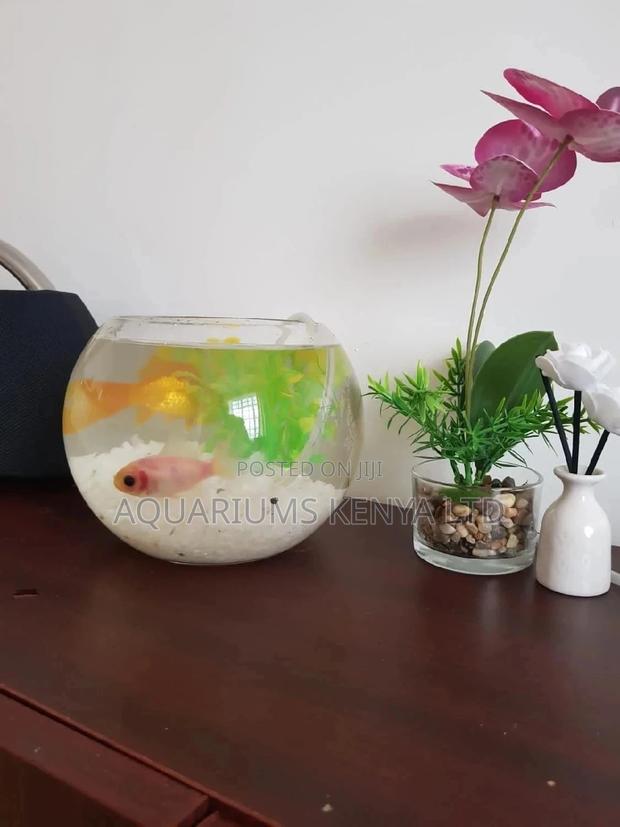 Classic Fish Bowl - main view