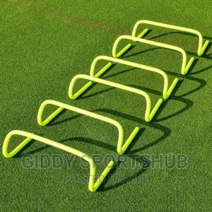 Agility Hurdles
