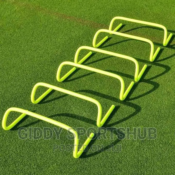 Agility Hurdles
