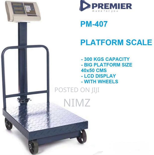Premier 300kg Platform Scale - main view