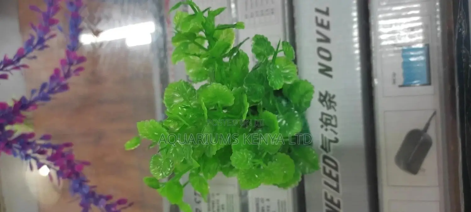 Plastic Dollar Plants , Aquatic Plants