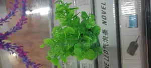 Plastic Dollar Plants , Aquatic Plants
