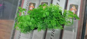 Plastic Create Bottom Aquarium Plants - thumbnail 2