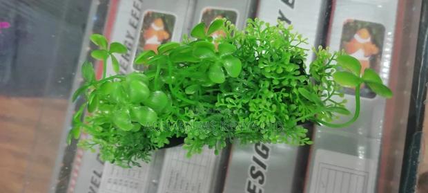 Plastic Create Bottom Aquarium Plants - main view