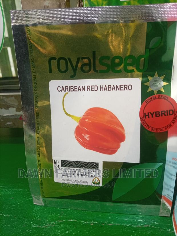 Hot Pepper Caribbean Red Habanero Red F1 500seeds