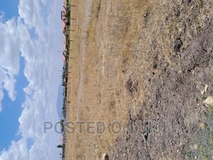 Kantafu 50 by 100 Plots, ^Mw - thumbnail 2