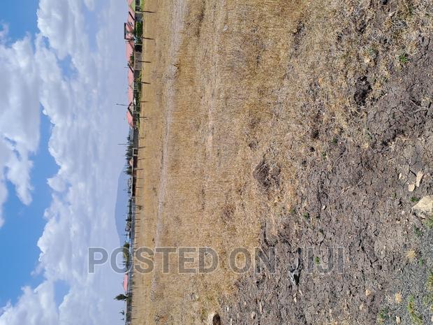 Kantafu 50 by 100 Plots, ^Mw - main view