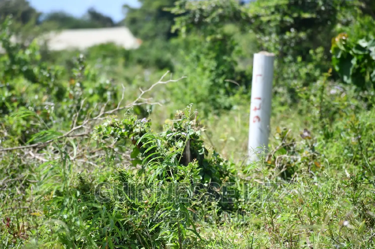 Mavueni Plots For Sale Next To New Life Complex