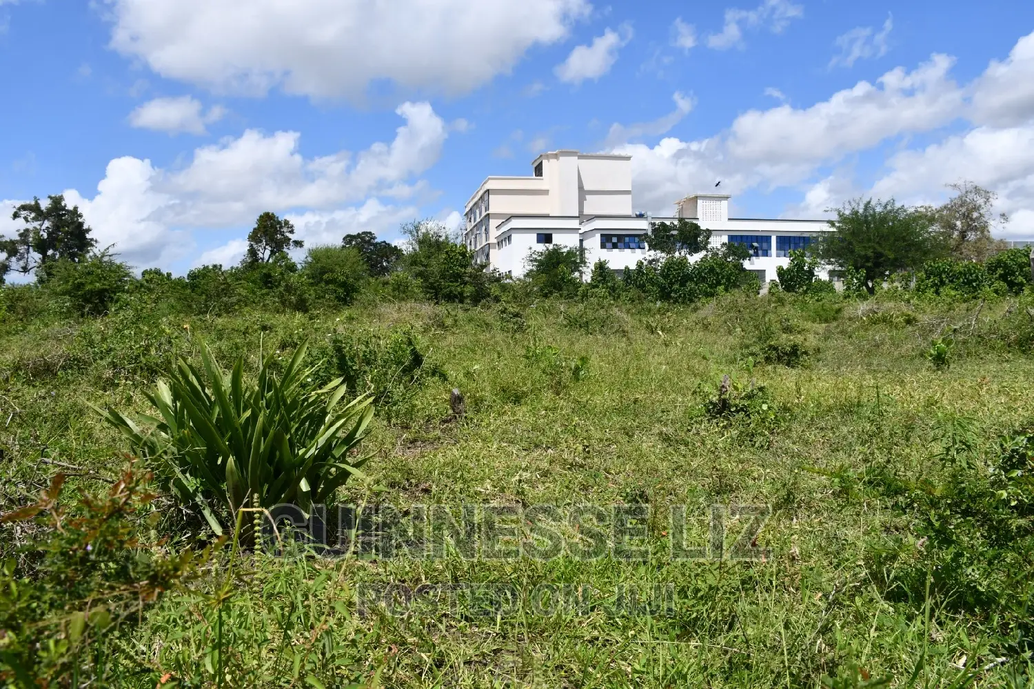 Mavueni Plots For Sale Next To New Life Complex