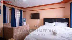 Studio BNB Apartment in Ruiru Kamakis
