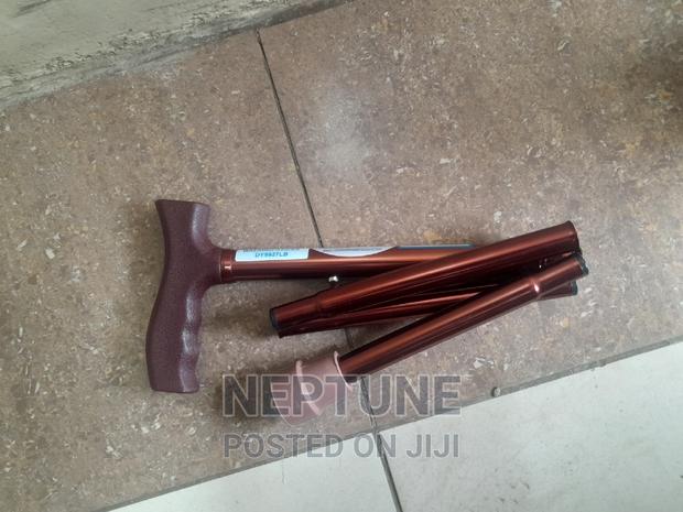 Folderable Walking Stick - main view