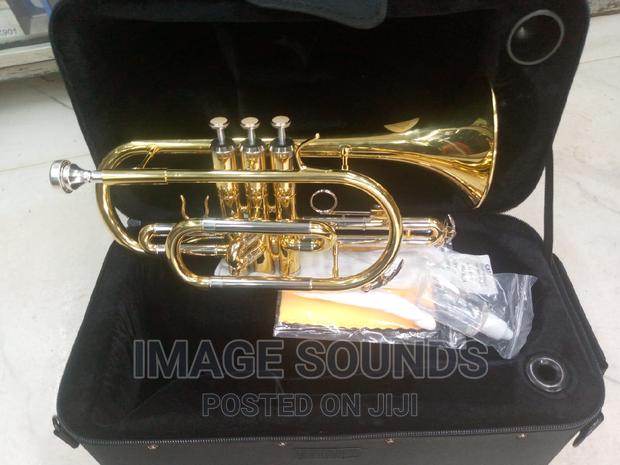 Cornet Brass Instrument- Suzuki - main view