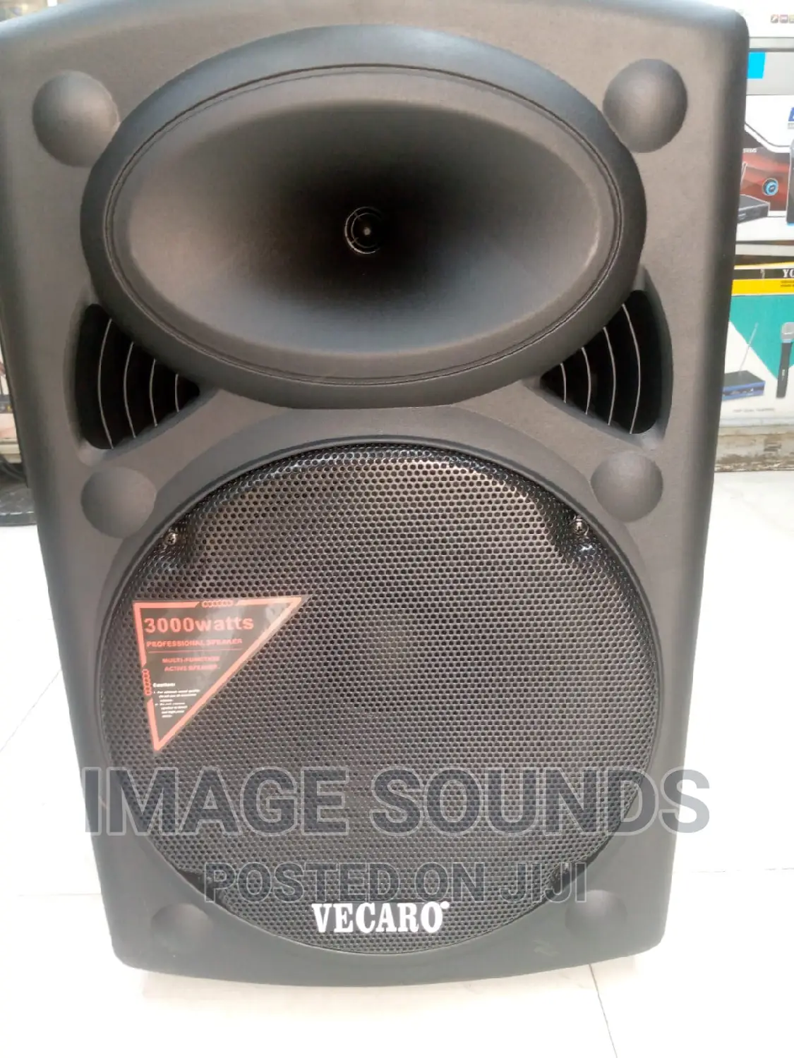 Powered Speaker 15inch With 2 Wireless Microphones