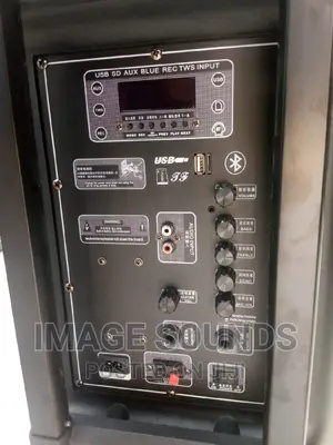 Powered Speaker 15inch With 2 Wireless Microphones