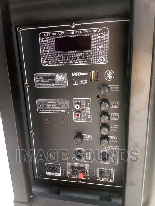 Powered Speaker 15inch With 2 Wireless Microphones - thumbnail 2