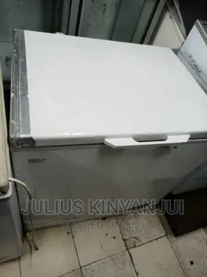 Deep Freezer 250l