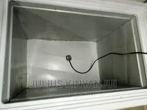 Deep Freezer 250l
