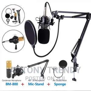 Condenser Microphone Bundle for Studio Recording Broadcast