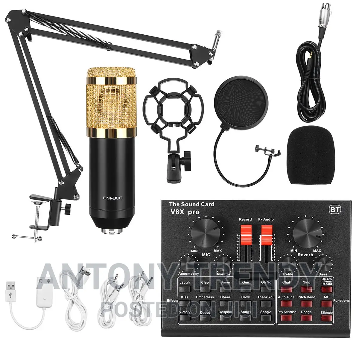 BM-800 Mic Kit With Live Sound Card