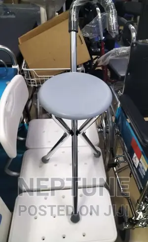 Walking Stick With Seat