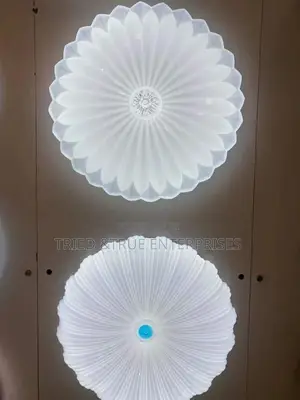 Full Moon Lights
