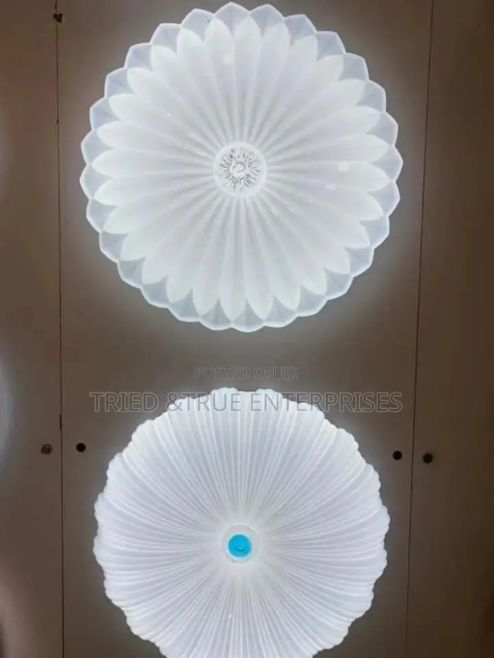Full Moon Lights