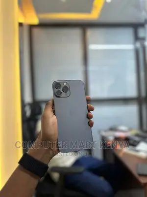 Apple iPhone 13 Pro Max 1 TB Gray