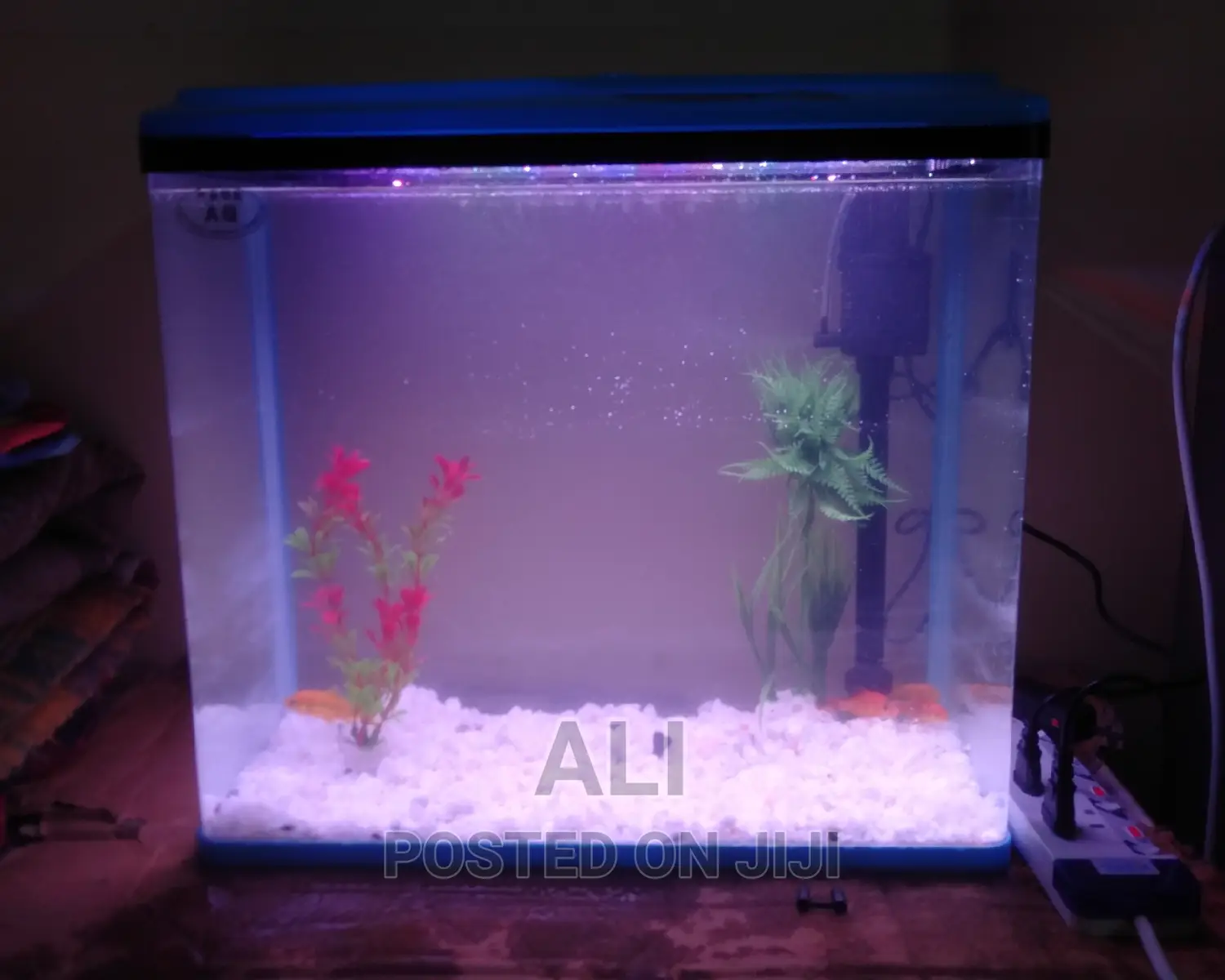 Aquariums Fish and Birds