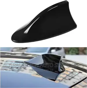 Car Antennae Shark Fin