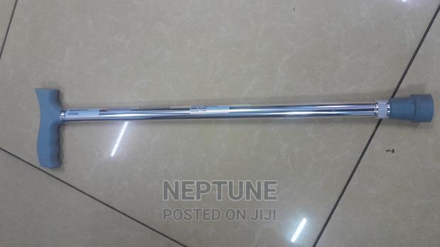 Walking Stick - thumbnail 2