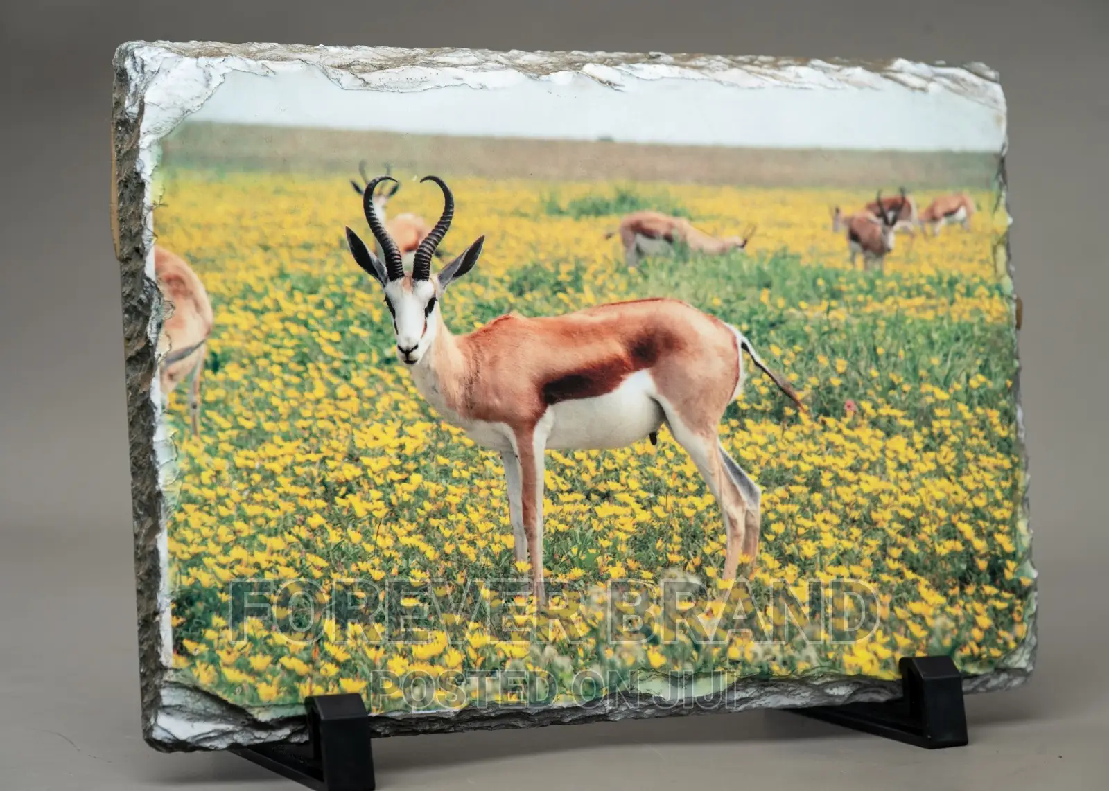 A5 Rock Photos(Sublimation)