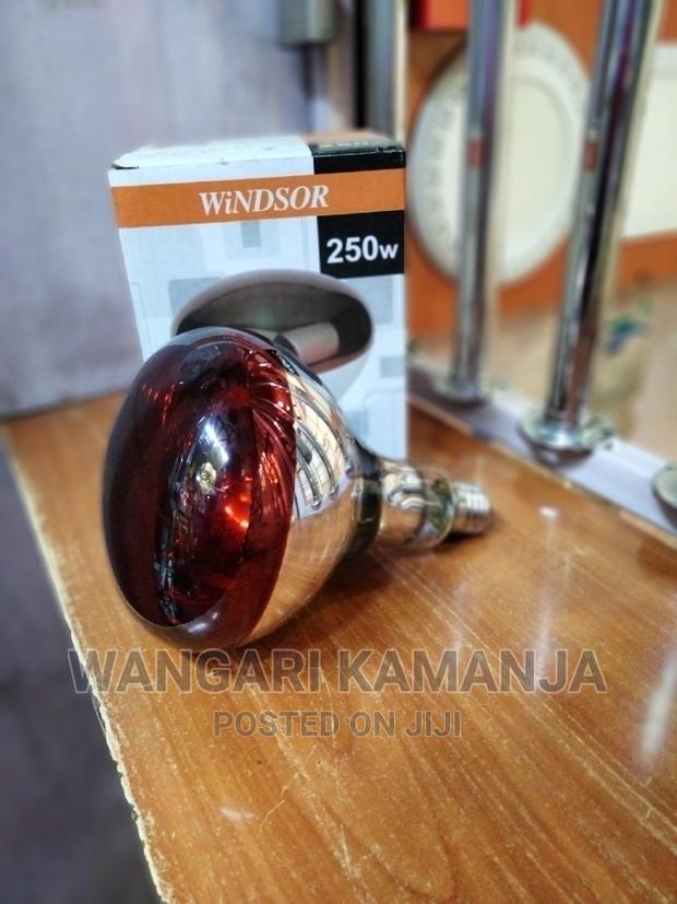 Chicken Bulb - main view