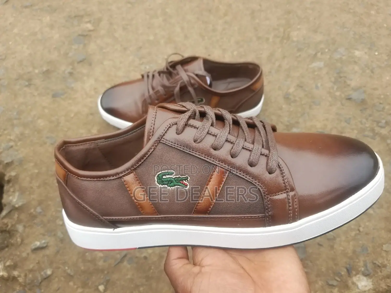 Brown Lacoste Smart Casuals Leather Shoes