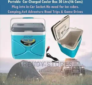 30 Litres Electric Cooler Box/ Mini Fridge With Both Home An