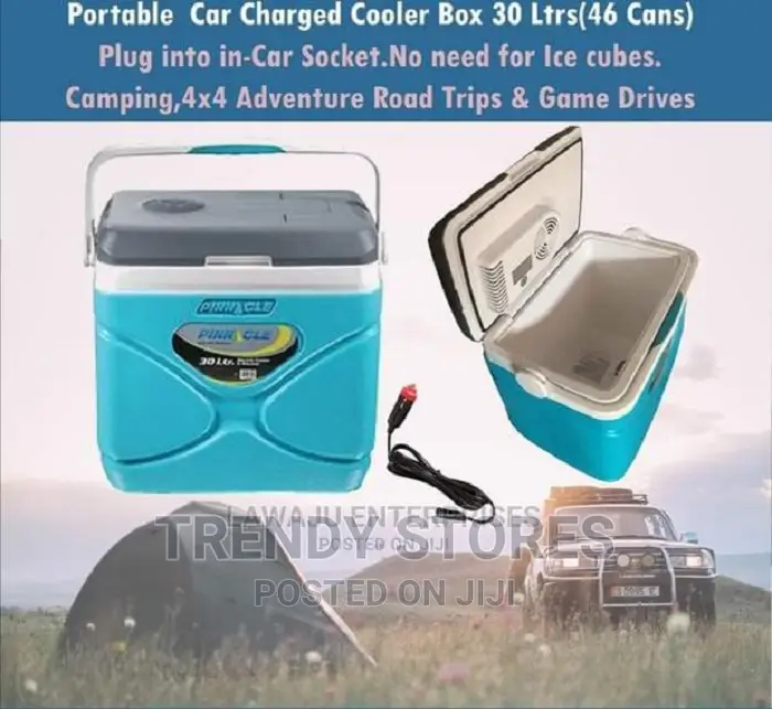 30 Litres Electric Cooler Box/ Mini Fridge With Both Home An in Nairobi