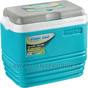 30 Litres Electric Cooler Box/ Mini Fridge