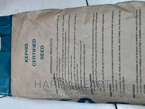 Boma Rhodes Pasture Seed 1kg - thumbnail 10