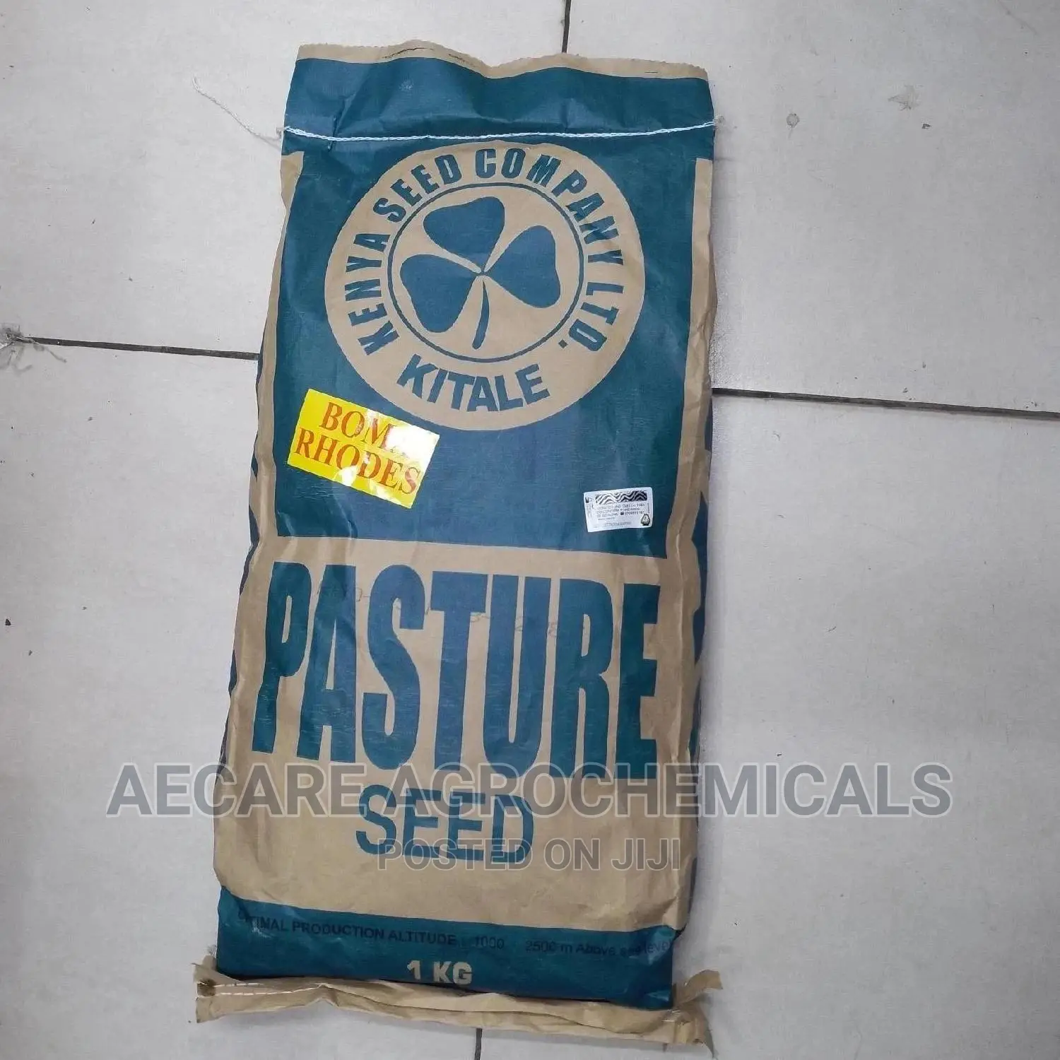 Boma Rhodes Grass Pasture Seeds 1kg (Simlaw Seeds)