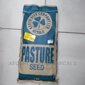 Boma Rhodes Grass Pasture Seeds 1kg (Simlaw Seeds)